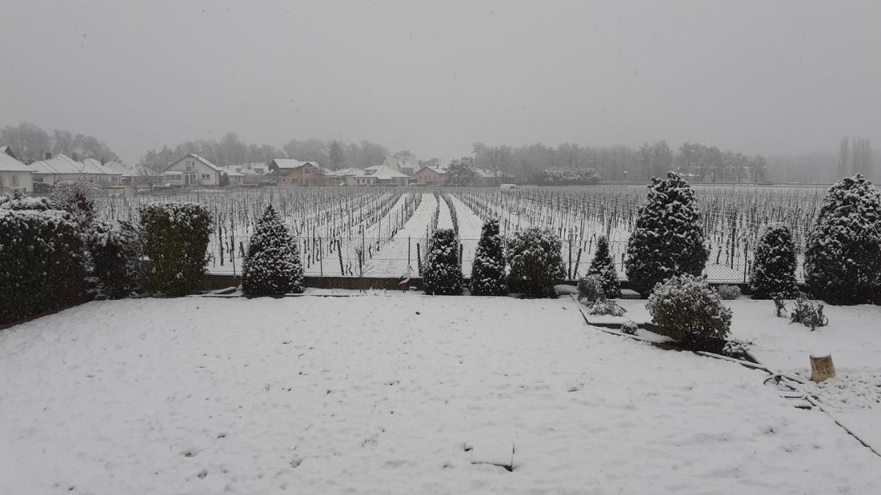 Aux Pieds Des Vignes Bed and Breakfast Ingersheim Eksteriør billede