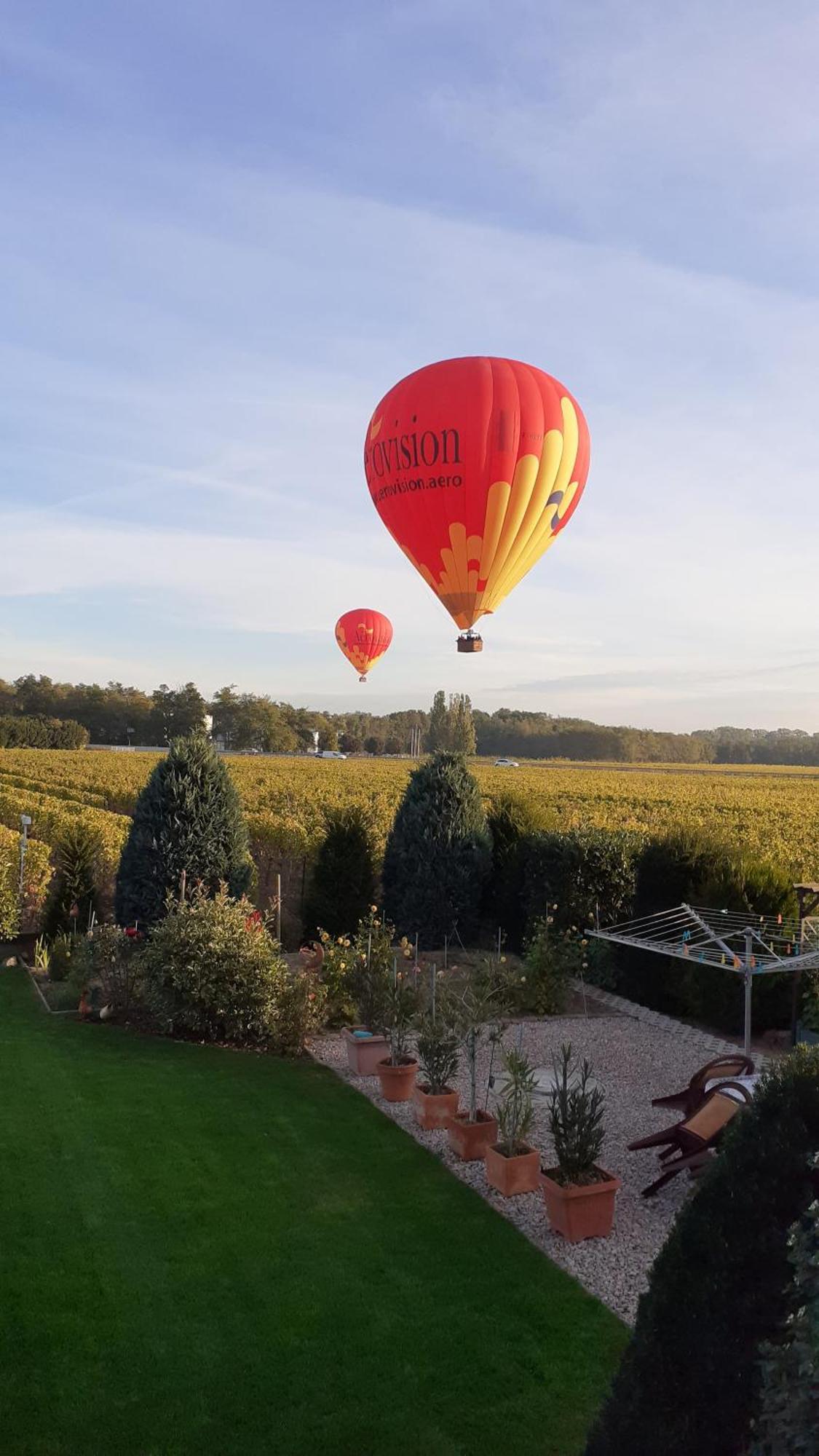 Aux Pieds Des Vignes Bed and Breakfast Ingersheim Eksteriør billede